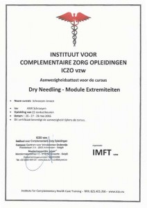 Certificaat Dry Needling